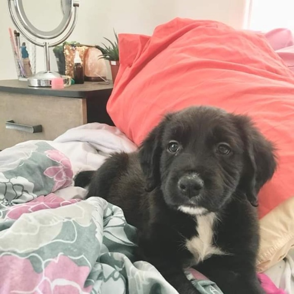 meet the posher Other - Meet The Posher